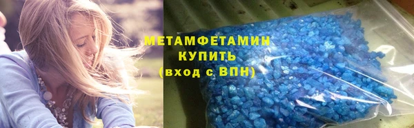 прущие грибы Рославль