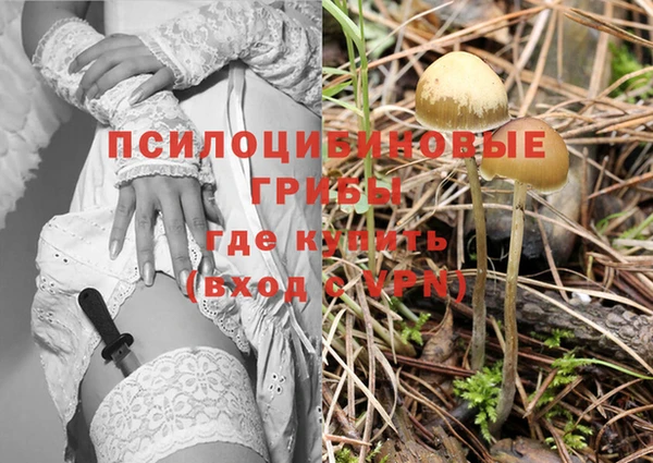 СК Балахна