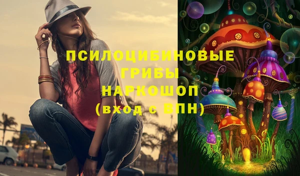 PSILOCYBIN Баксан