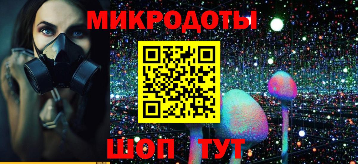 Белогорск  Псилоцибиновые грибы MAGIC MUSHROOMS  Вход с VPN 
