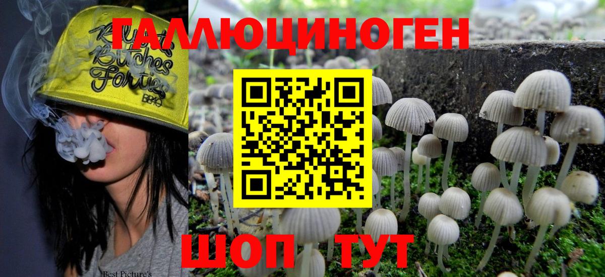 Псилоцибиновые грибы GOLDEN TEACHER Белогорск